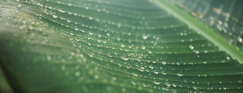 El Agua