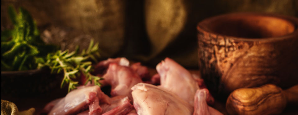Carnes