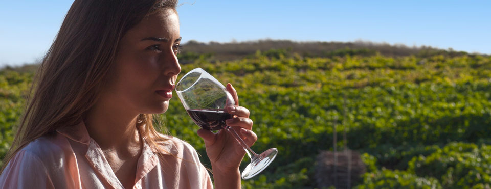 Tipos de vino