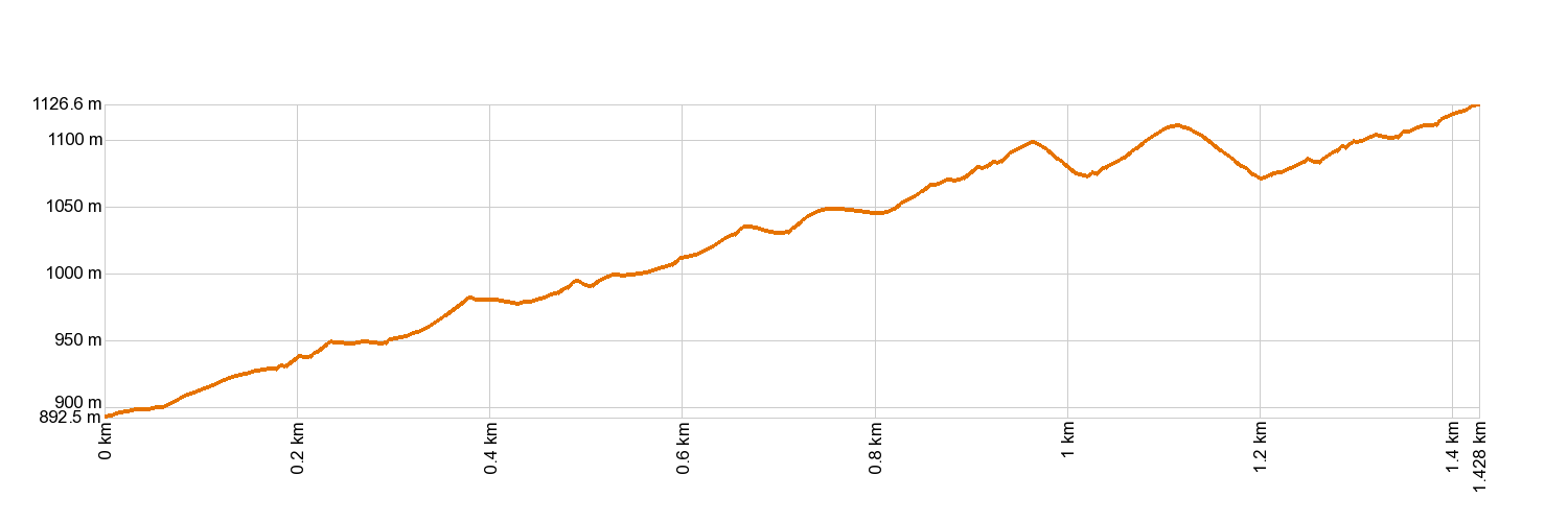 Altimetría PR-TF 40.1 Camino Punta del Risco