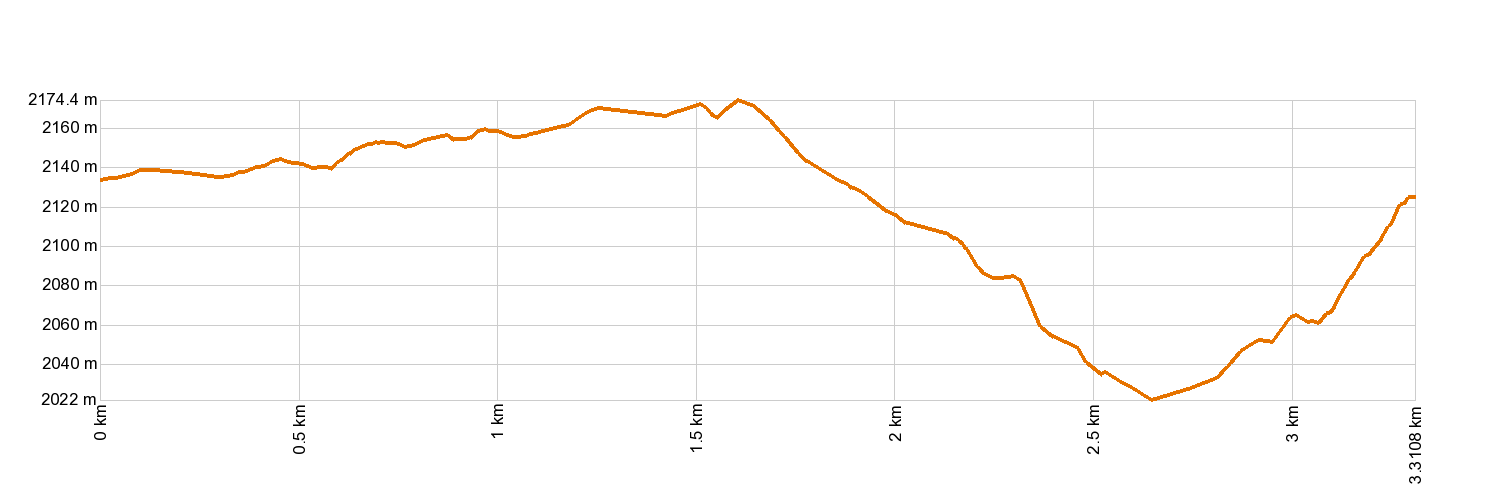 Altimetría 3. Roques de García